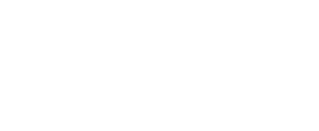SVF, SVF Cloud