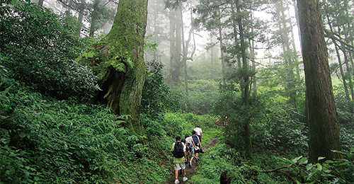 福岡県 糟屋郡 篠栗町