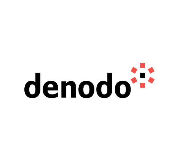 Denodo Technologies 株式会社